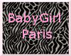 Baby Girl Paris Room 