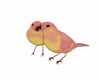 Animateds Birds2