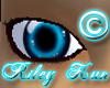 Riley Blue Eyes