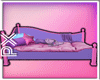PX May Bed|Sofa