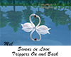 Swans in Love Triggers