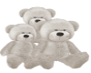 [A]WhiteTeddy Bear+Poses