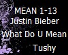 JB What Do You Mean 