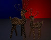 (SS)Lighted Reindeers