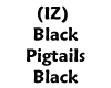 (IZ) Black Pigtails 3