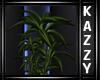 }KR{ Plant 2