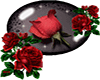 Happy Valentine Rose