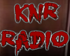 KnR RADIO WALL HANGING