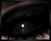 Cira Eyes