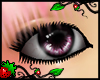 LF| Rosa's Eyes