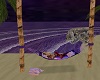Purple Dream Hummock