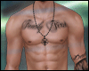 Perfect Muscle Body ⌂