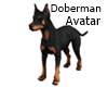 Doberman Avatar