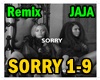 Sorry Remix