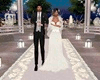 Walk Wedding Petals