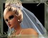 *AE*BabyBlueWeddingVeil