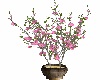 Island Wedding Plant