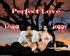 (L)Perfect Love