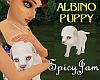 Hold Me Albino Pup