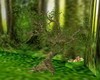 RY*tree racine roi lion