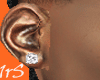 ♛ Asteri Head Earrings
