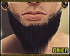 Realistic Beard II..