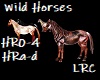 Dj Light Wild Horses