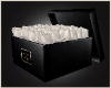 White Box Roses
