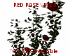 [Gi]RED ROSE VINE 3