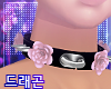 ☾ Rose Collar Sakura