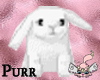 <3*P Bunny Sticker