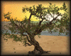 Tree Realistc animated