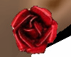 ~81~ Red Rose SE 2