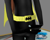 batgirl utility belt