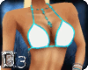 ~D3~Turquoise/Wh Bikini
