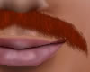 Auburn Mustache