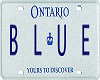 Blue Licence Plate Stick