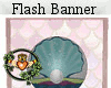CCK Flash Banner