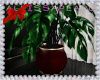 :A: Modern Red Plant