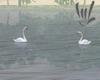 GM Animated Swans