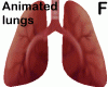 lungs inside ANI - F