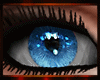 [Key]Katia Eyes Sapphire
