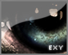 [X] Socq's Eyes F
