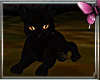*P Black cat