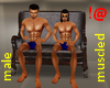 !@ Muscled avatar male