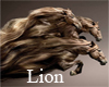 Lion_1