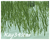 Under Sea Animated Grass