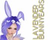 Bun! Lavender Bunny Ears