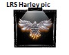 Harley pic