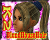 [K2] BlondHouseHair